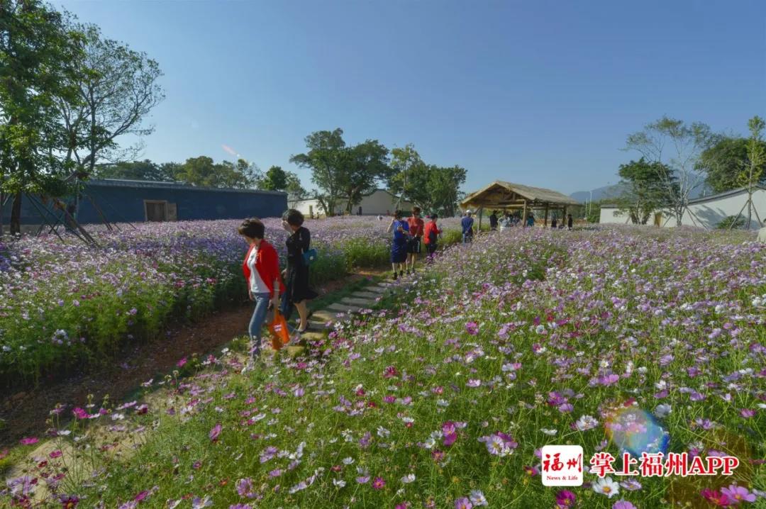 深化文化體制改革和創(chuàng)新 福州歷史街區(qū)保護備受好評