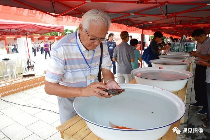 閩侯：“魚”悅奔小康 幸福慶豐收