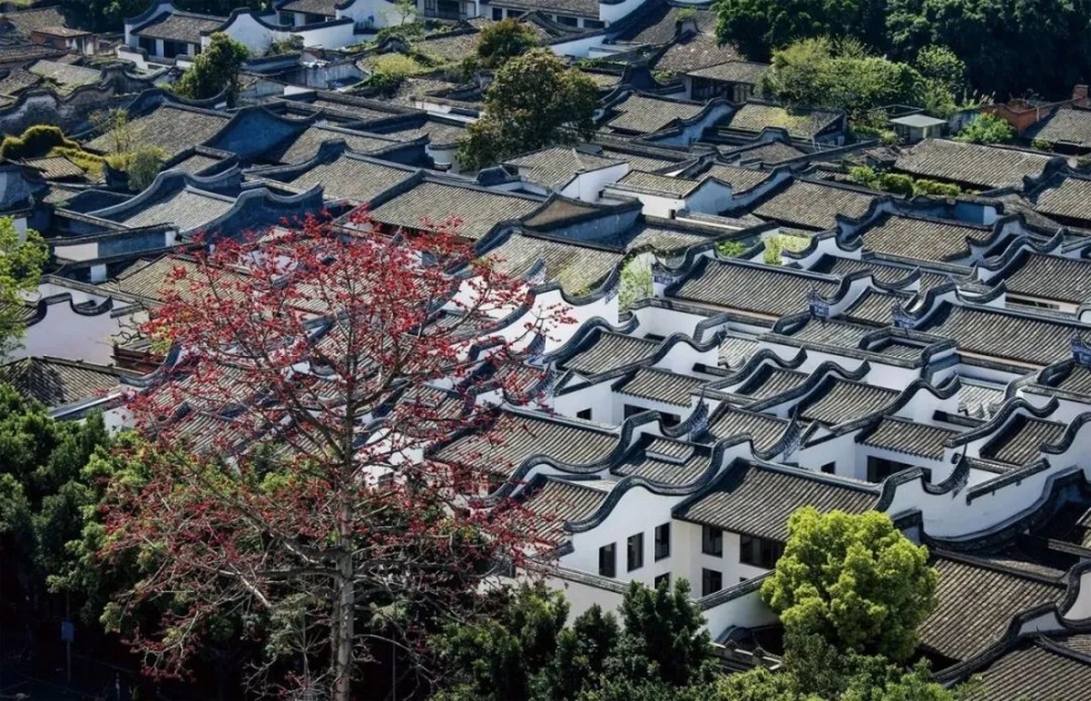 聽福州｜城市中軸線上的古厝，藏著這么多秘密……