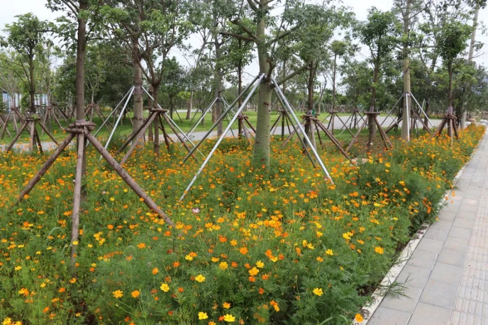 一起領(lǐng)略東湖濕地公園之美