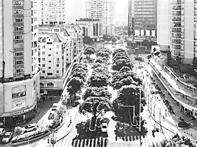 臺江達江路完成“升級”通車 四五月看“花海”