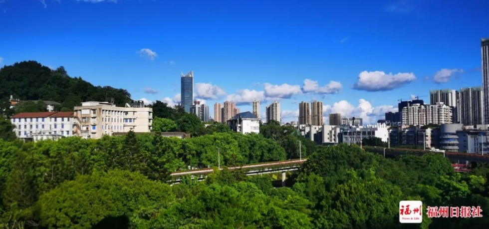 福州日報社喊你了！沖鴨！
