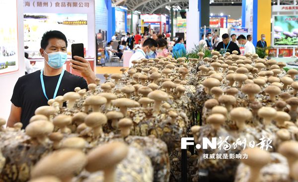 第二屆菌博會吸引近300家企業(yè)參展，今日向公眾開放