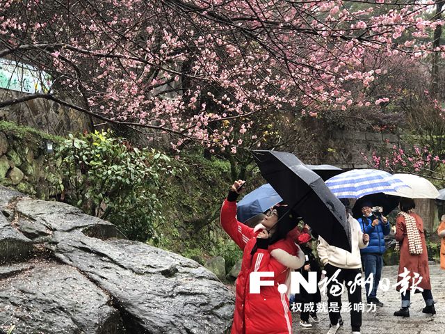 2022年福州·鼓山梅花文化節(jié)開(kāi)幕