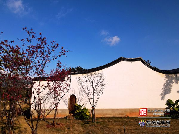 世遺林，紅了！