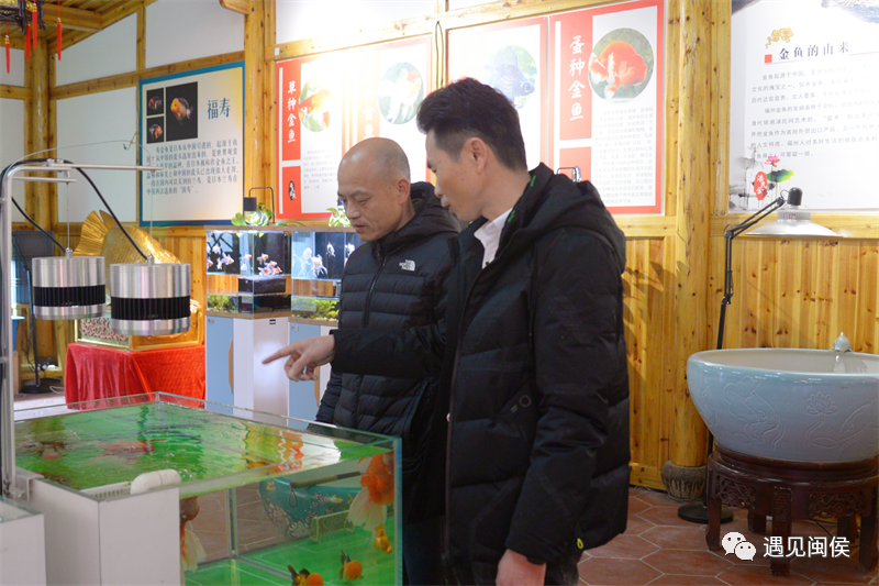 是什么讓閩侯荊溪關中村的發展“如魚得水”
