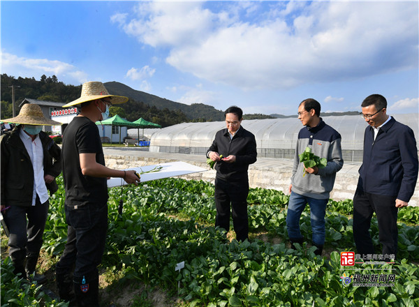 林寶金：發展特色產業 提升人居環境 努力在鄉村振興中走前列
