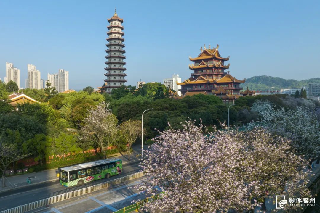 請(qǐng)收藏！福州春日賞花圖鑒！