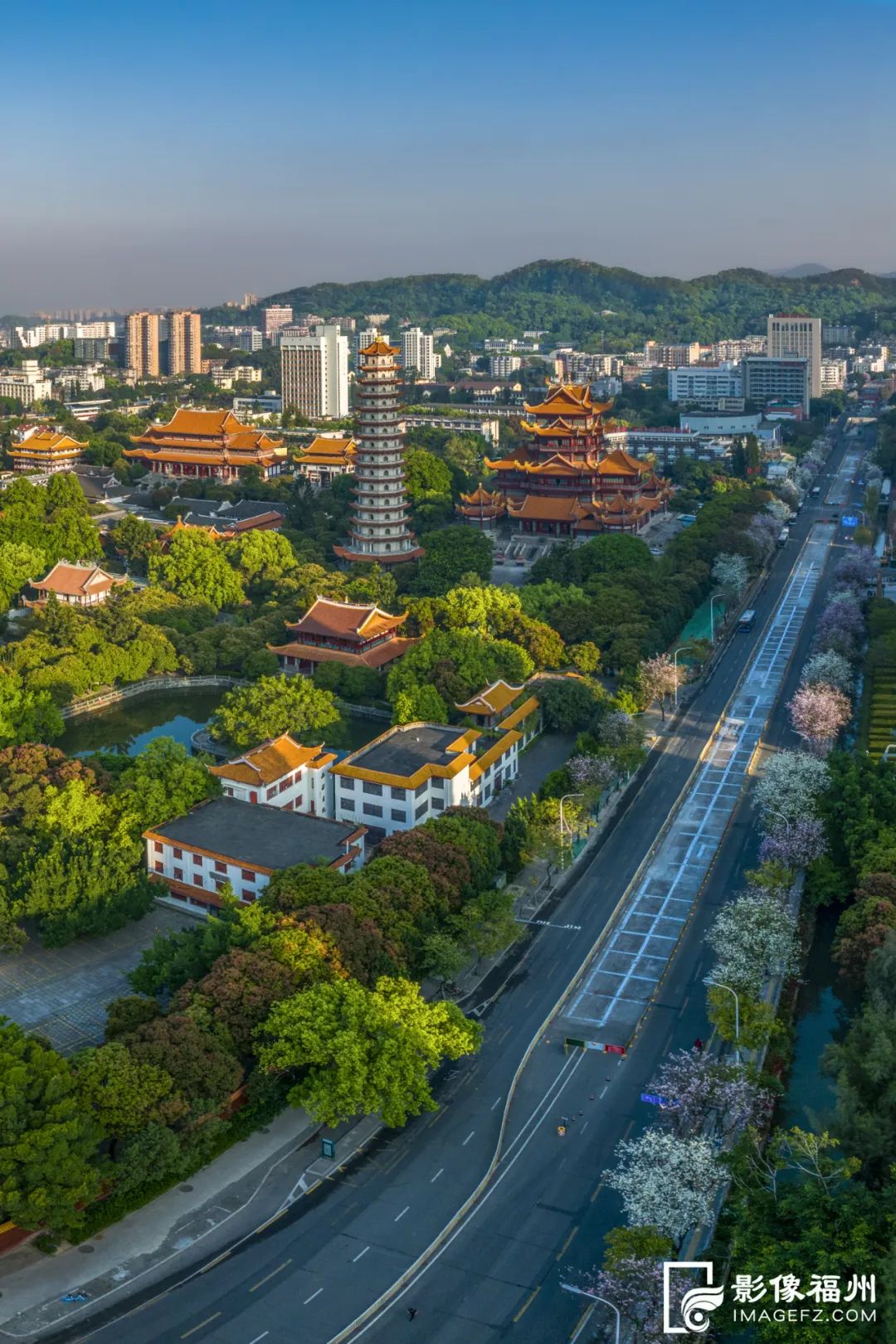 請(qǐng)收藏！福州春日賞花圖鑒！