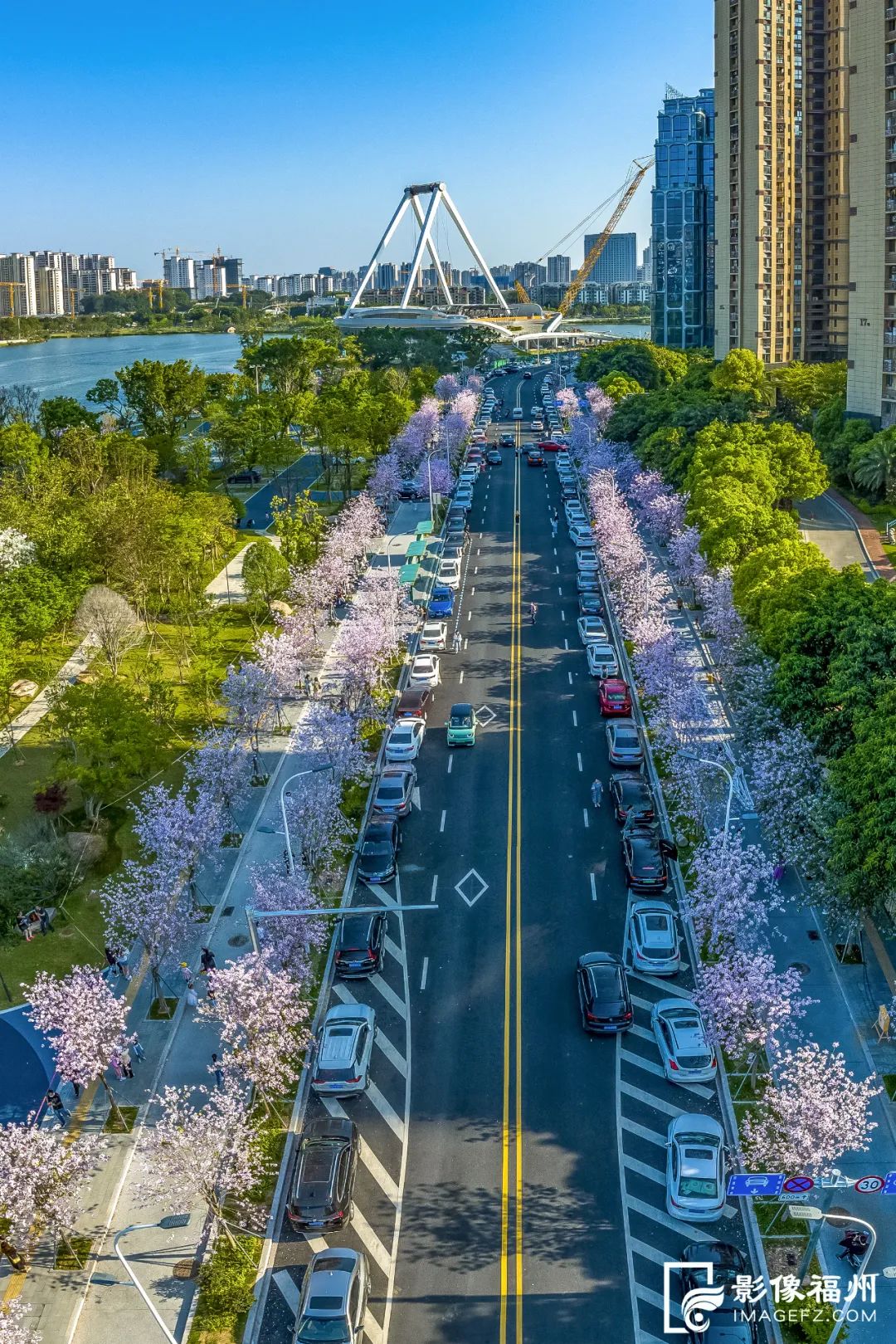 請(qǐng)收藏！福州春日賞花圖鑒！