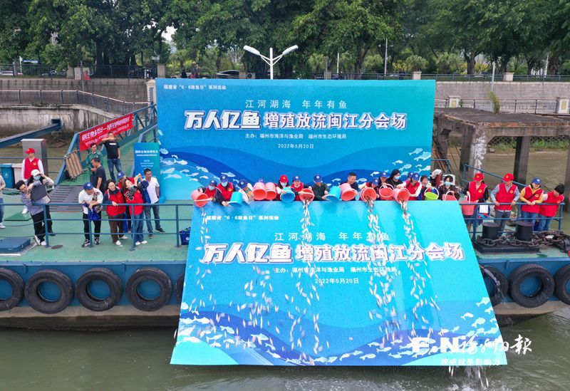 近20萬尾“魚寶寶”游入閩江