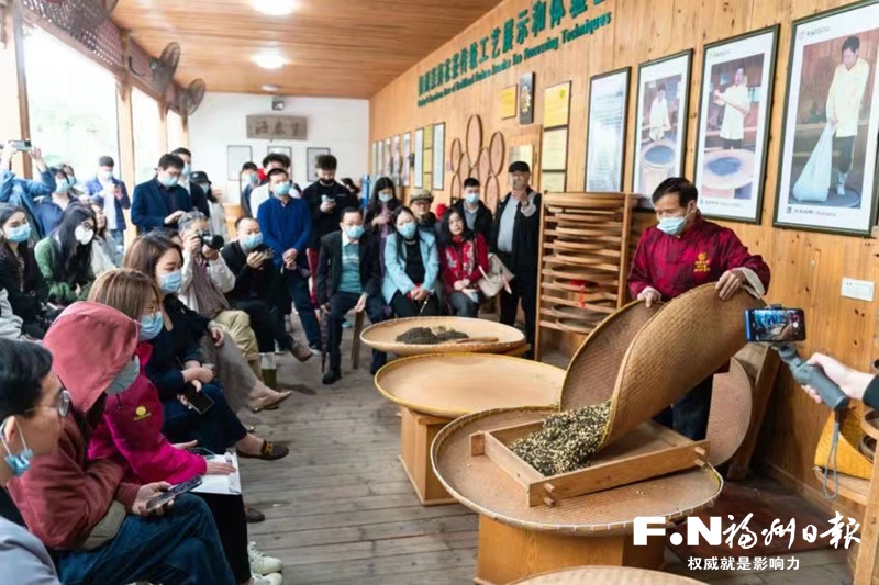 兩岸青年參觀研討福州茉莉花茶