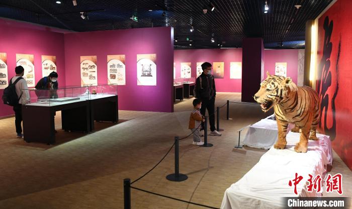 虎年新春生肖文物聯展“虎虎生福”