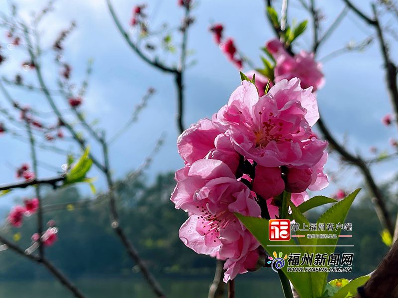 福州西湖將舉辦首屆上巳節(jié)文化月