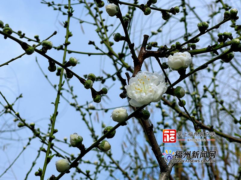福州西湖將舉辦首屆上巳節(jié)文化月