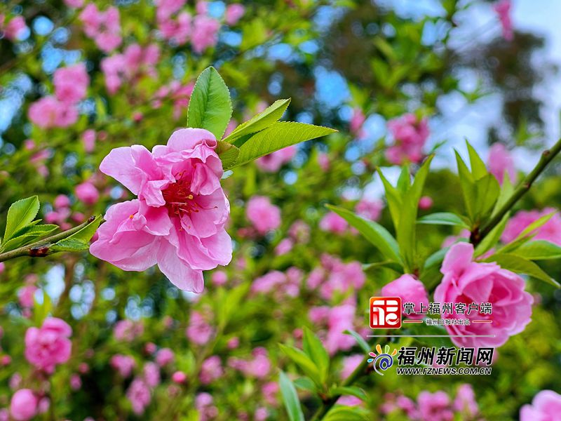 福州西湖將舉辦首屆上巳節(jié)文化月