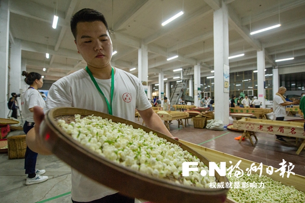 現場比拼茉莉花茶窨制工藝 35名高手角逐“大師”桂冠