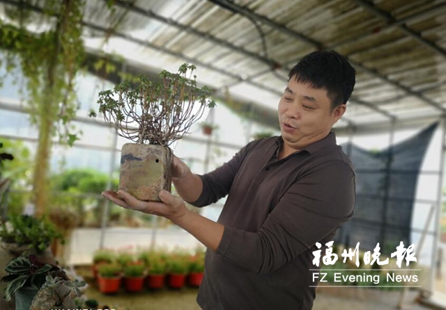 福清石雕藝人鐘景星：用石雕撐起愛的天空