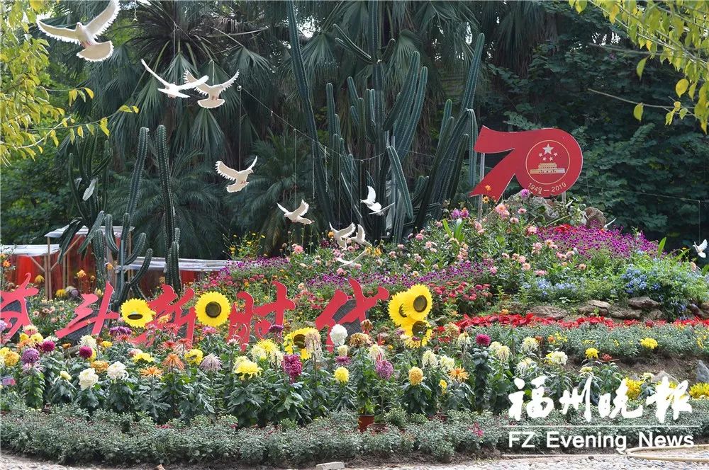 福州西湖菊花展正式亮相！20000多盆 600多品種！