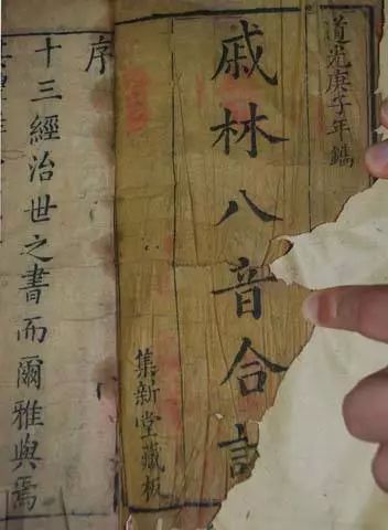 萬妮達唱火的歌曲背后，是你不知道的方言活化石——福州話！
