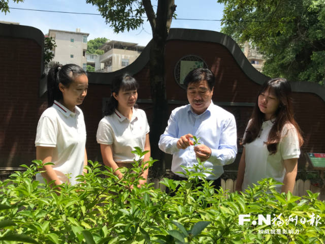 30年·30人｜傅天龍：讓福州茉莉花茶香飄世界