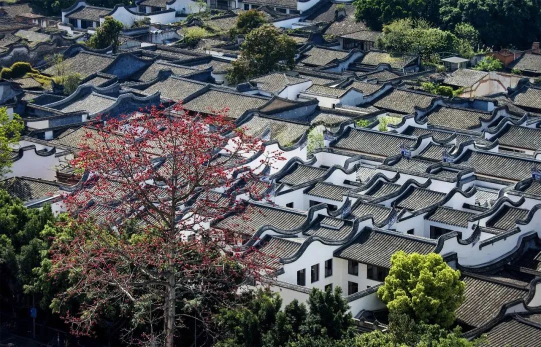 福滿榕城 e起向未來 | 福州市“喜迎二十大”短視頻征集大賽來啦