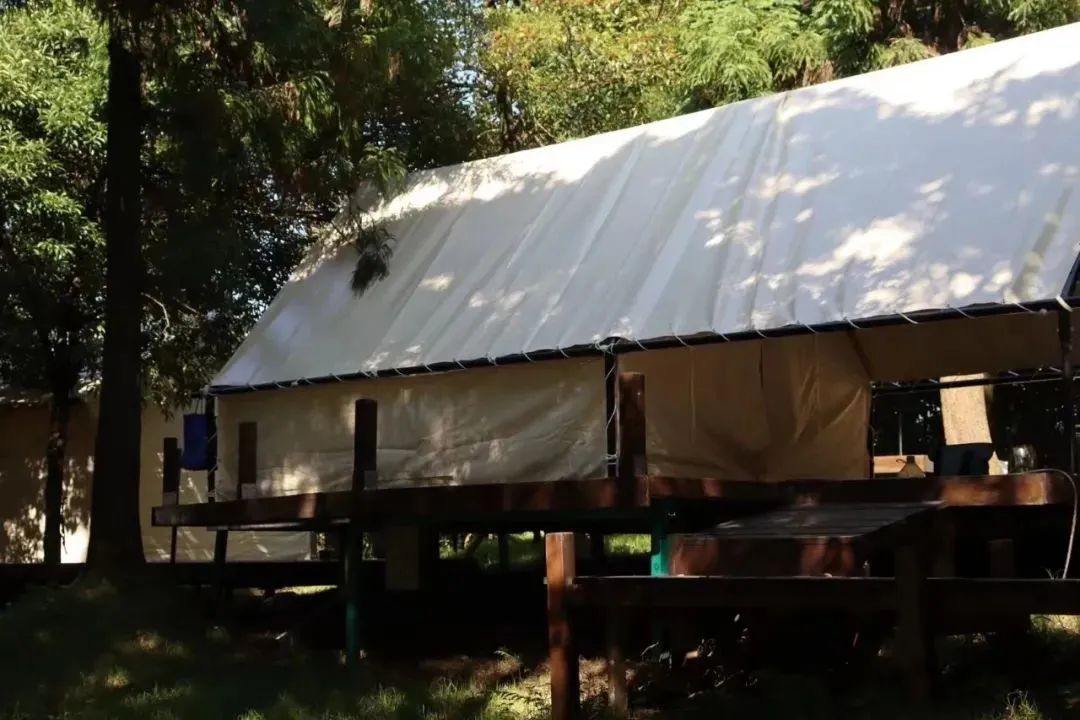 新晉網紅打卡地！福州鼓嶺柱里露營地“火”上央視
