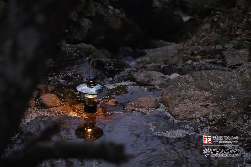 梅香如故，美好相約！第九屆中國（永泰）李梅文化節(jié)正式啟動
