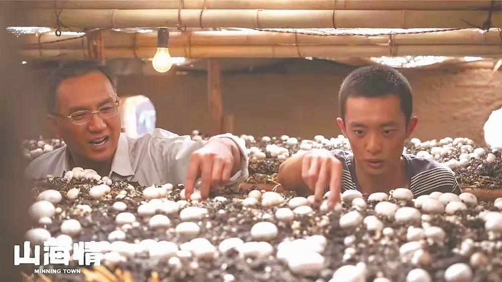 閩派電視文藝的崛起“密碼”