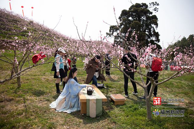 滿園燦若云霞 永泰葛嶺舉辦第三屆桃花節