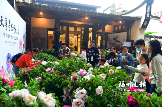 五一假期到煙臺山天寧寺 看牡丹花展畫展