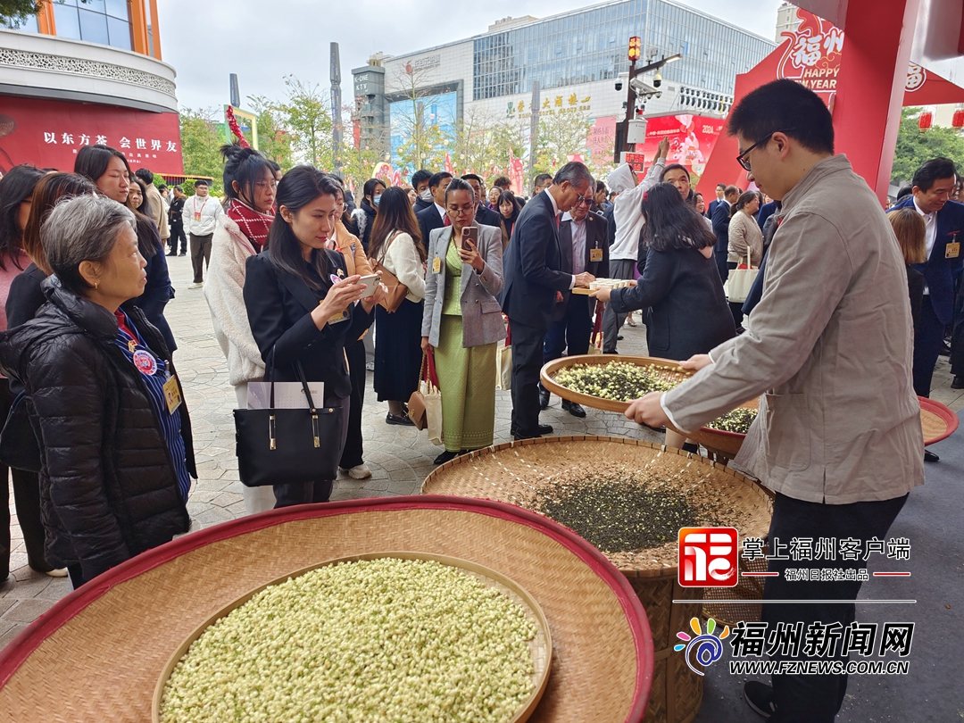 持續至4日！中國—東盟迎春嘉年華在福州舉行