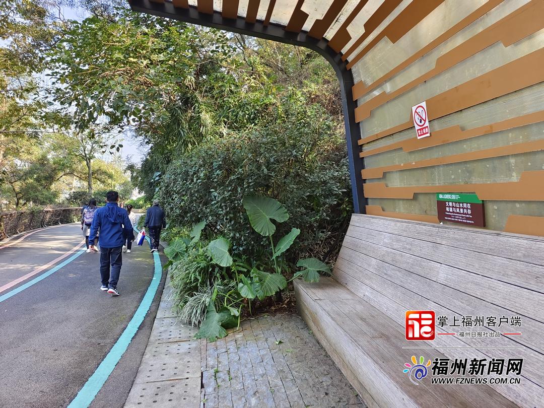 春節假期首日 福州多地展現文明旅游新風尚