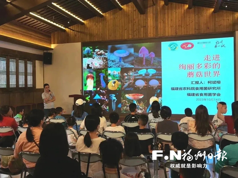 老宅可觀可用，文化可觸可感，這里創新“文物+”思維有一套