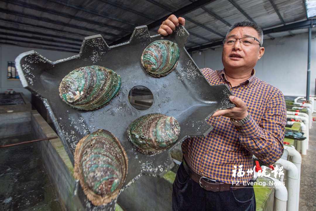 “海上福州”闖出多個全國第一