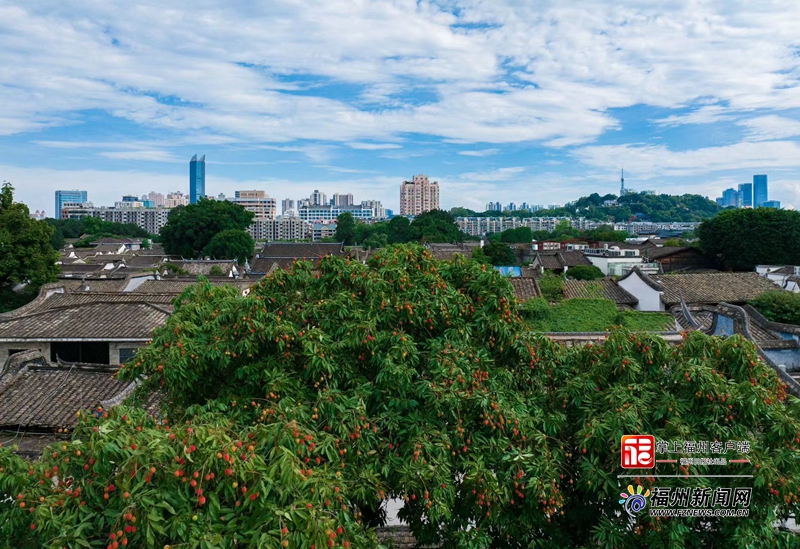 不止“愛心樹”，福州三坊七巷還有這些打卡點！