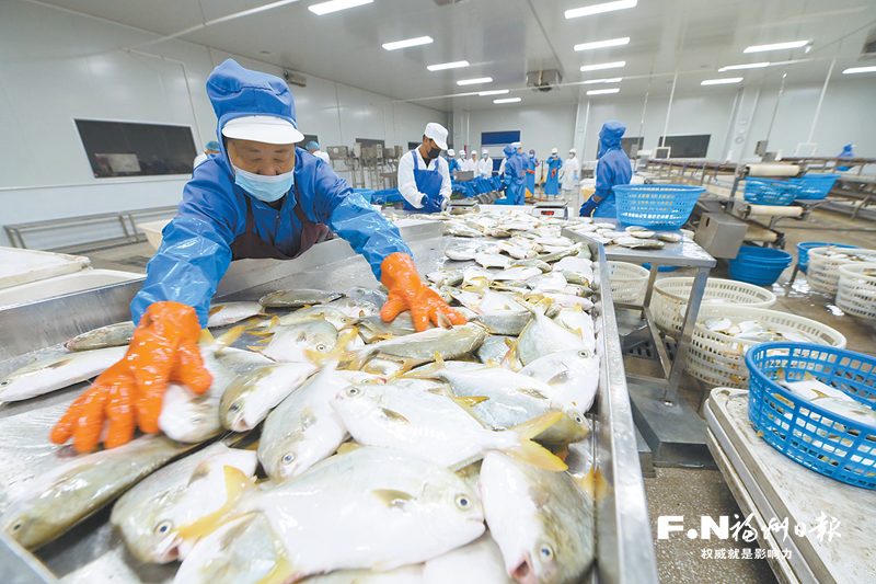 福清：深化改革風(fēng)正勁 玉融大地萬象新