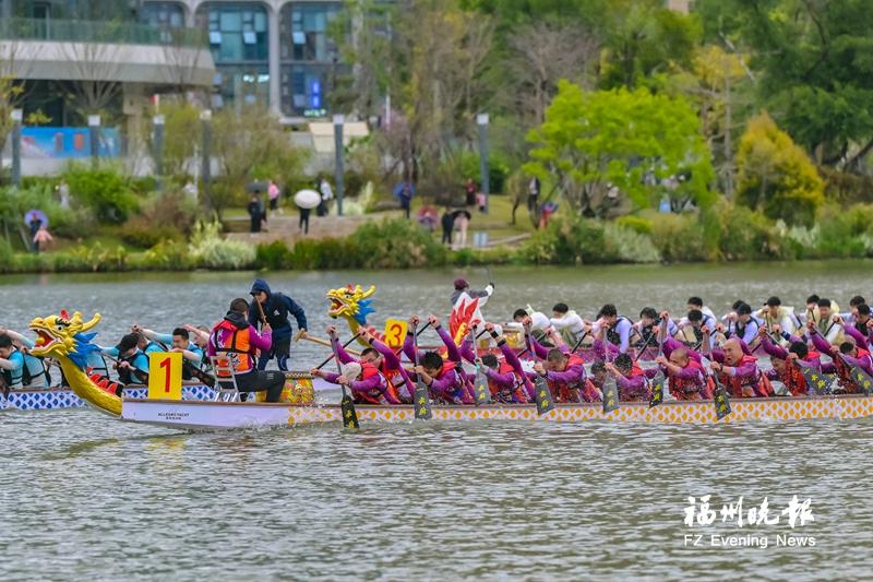 2025龍舟季開槳！首站晉安湖上演“水上競速+岸邊嘉年華”