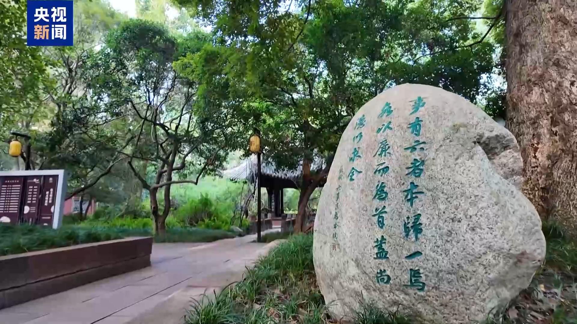 文化中國行丨從素炒豆腐到三蘇文脈 千年家訓解碼家國情懷